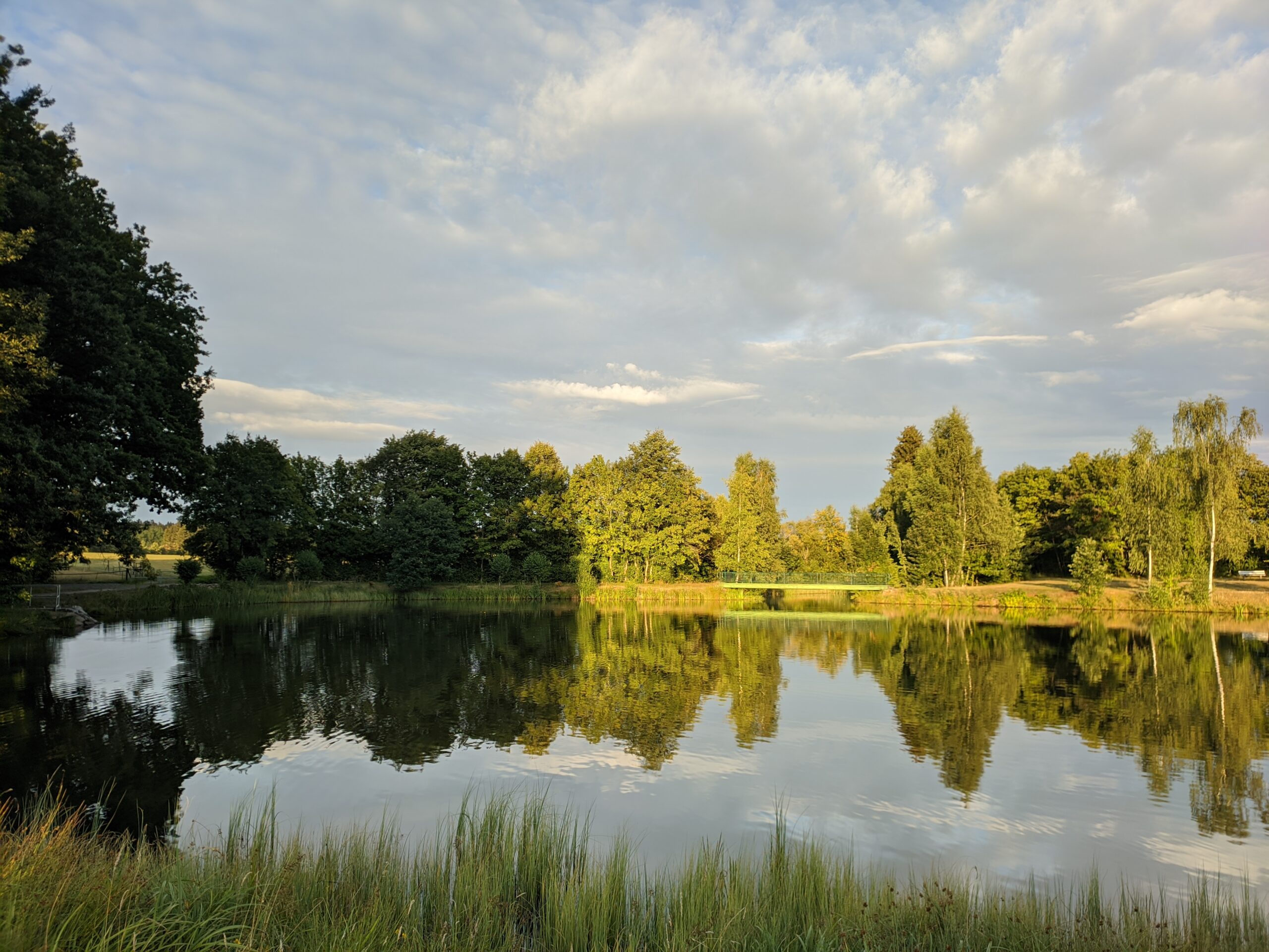 Naturwaldbad Grillenburg